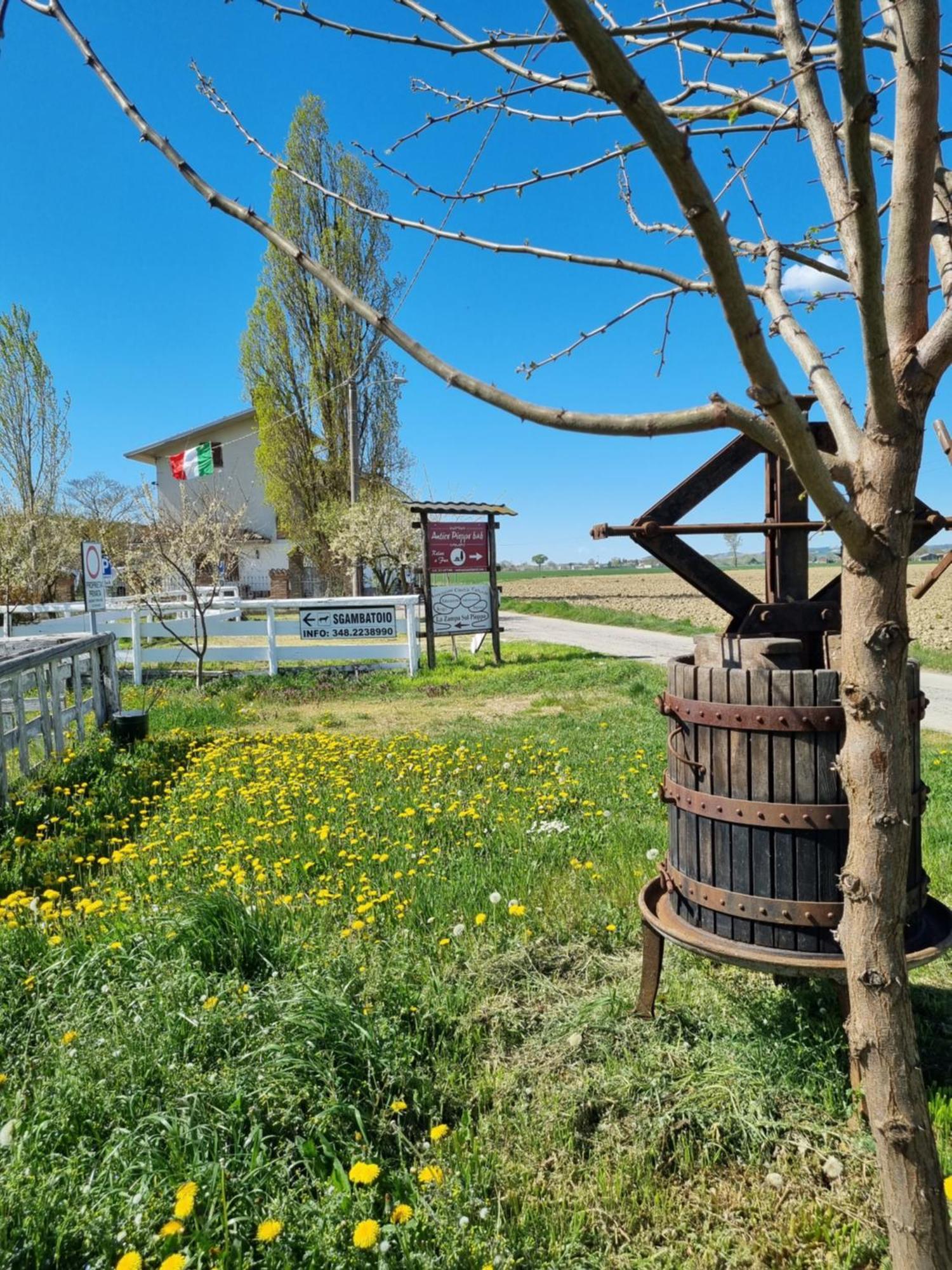 Bed and Breakfast Antico Pioppo Sale Zewnętrze zdjęcie